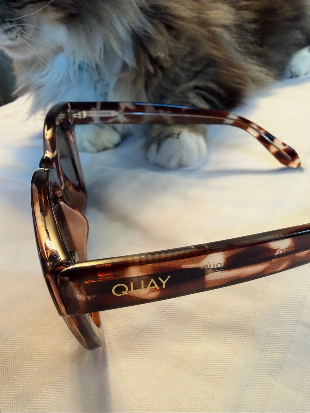 QUAY Tortoiseshell Cat-Eye Sunglasses - Brown